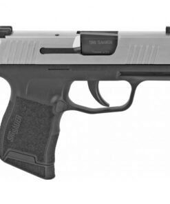 Sig Sauer P365 Pistol Stainless Slide 9mm 3.1" 10 RD Sig Night Sights