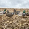 Fullbody Duck Decoys - Per 12