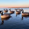 Floater Canada Goose Decoys - Per 6