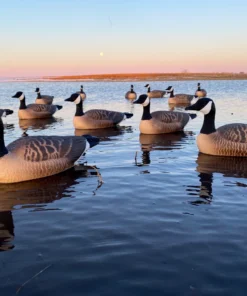 Floater Canada Goose Decoys - Per 6